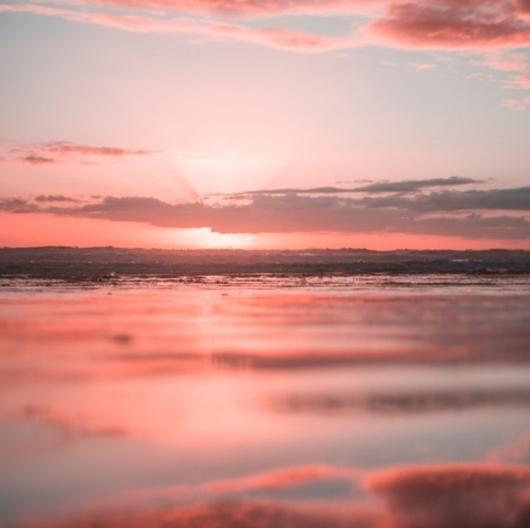 Meet your Posher, Raven - Picture 1 of 1